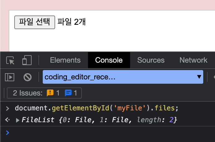 show input tag file name