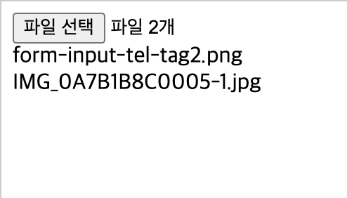 show input tag file name