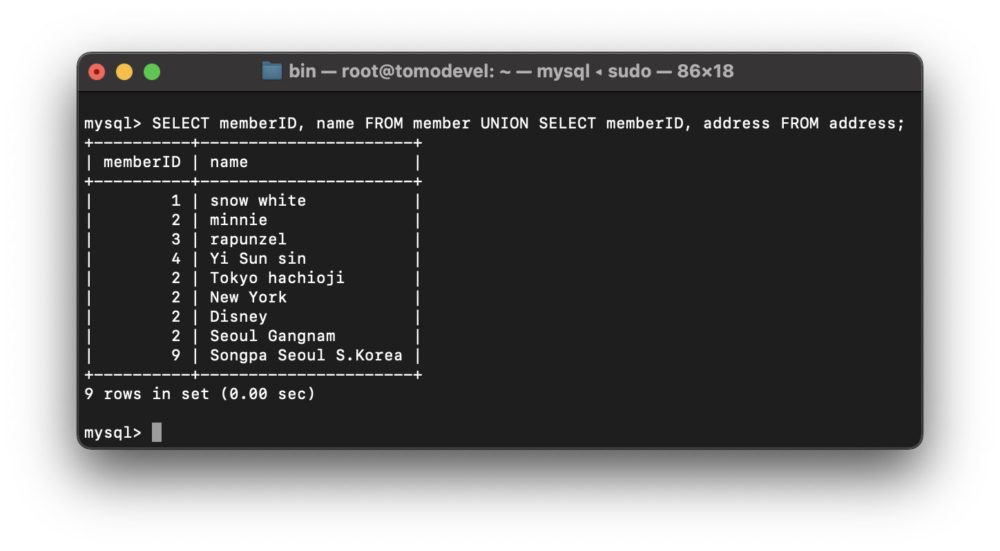 MySQL UNION ALL