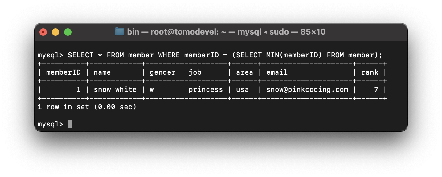 where sub query