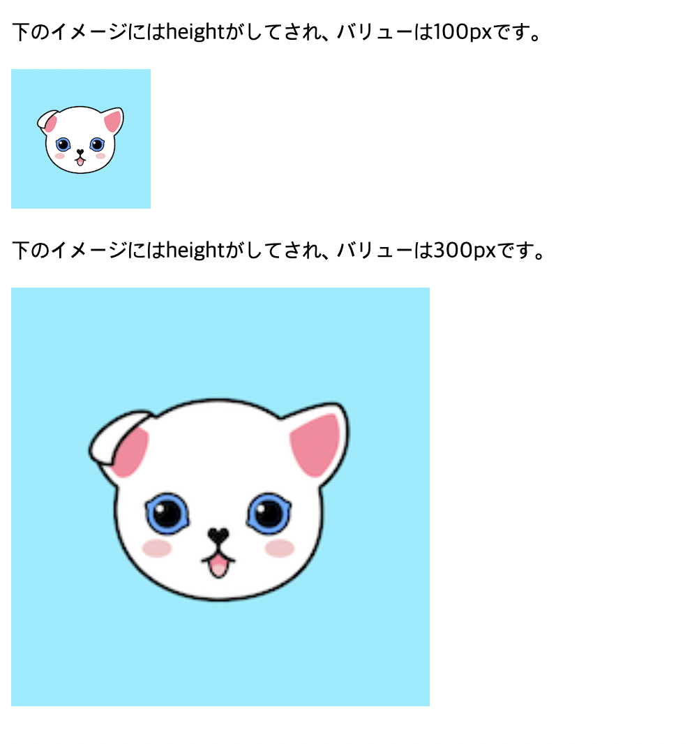 縦の長さ