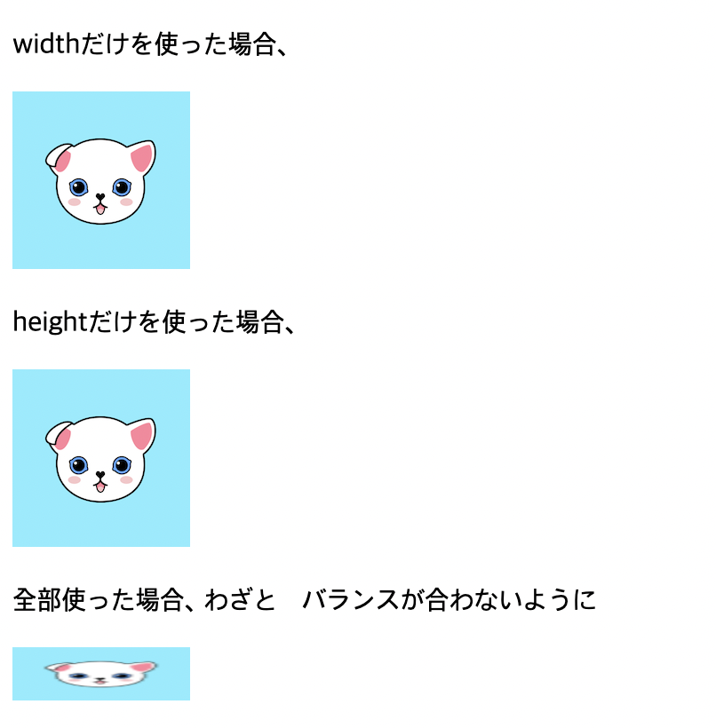 縦の長さ